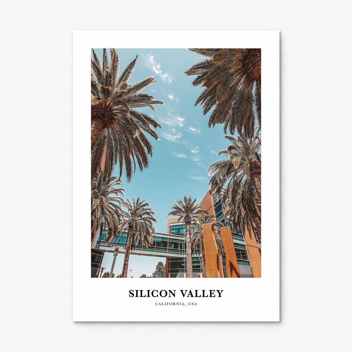 Silicon Valley Classic No 2 Poster, print only (unframed)