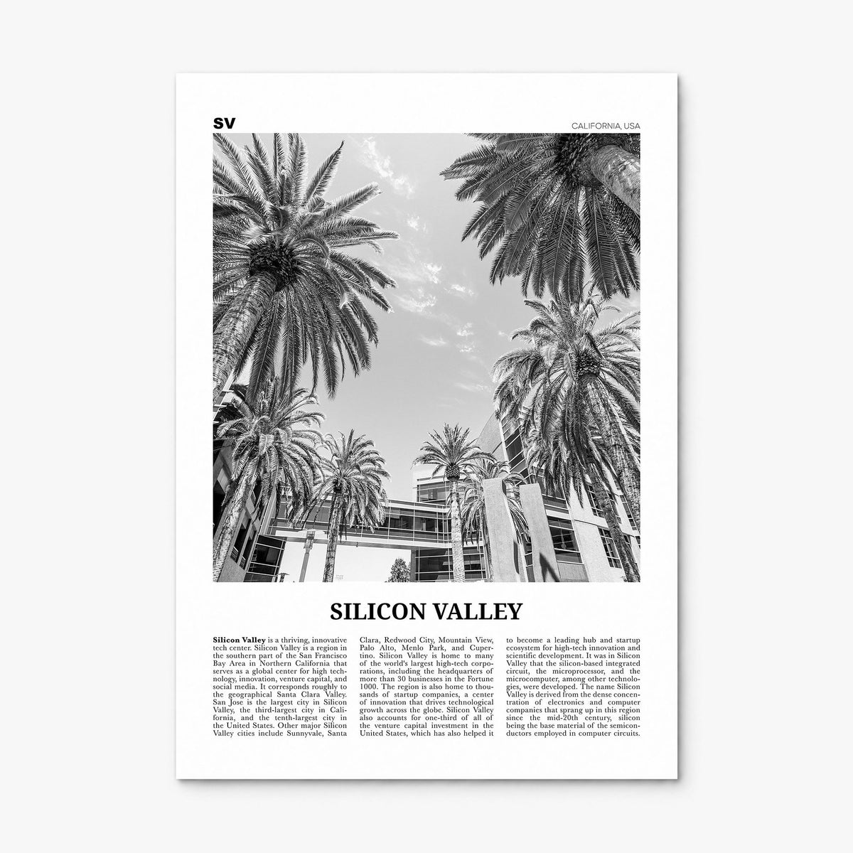Silicon Valley Newspaper Poster, print only (unframed)