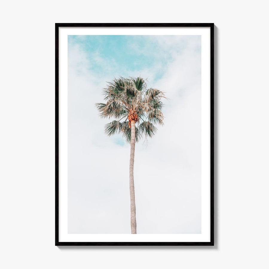 Single Palm Tree Photo Poster, framed poster mockup, white border