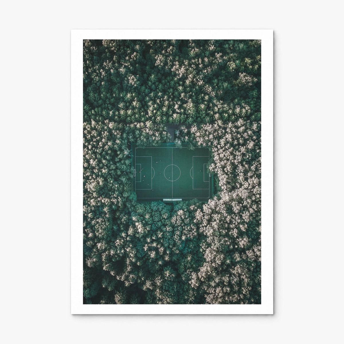 Soccer Field Photo Poster, print only (unframed), white border