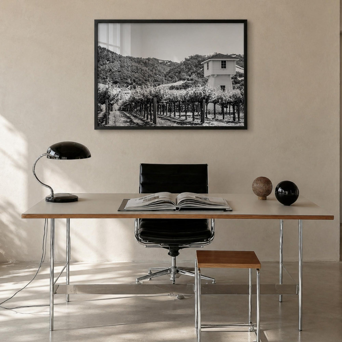 Sonoma Photo Poster
