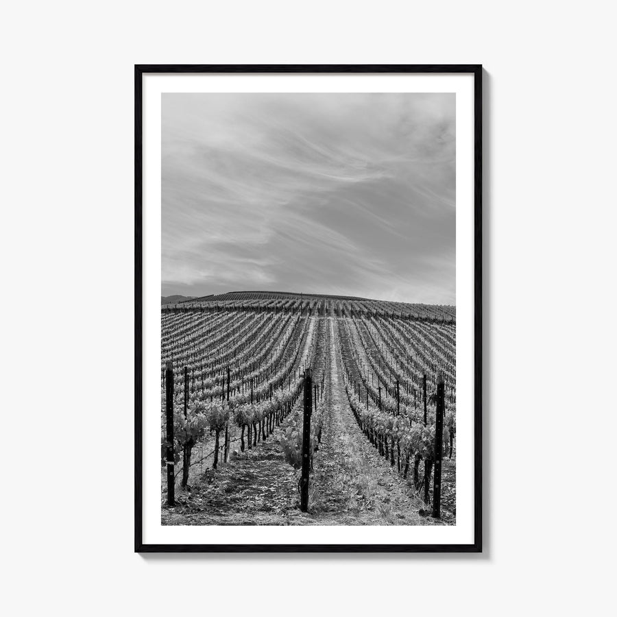 Sonoma black & white photo poster of California, USA – vertical wall art, unframed print shown in interior mockup