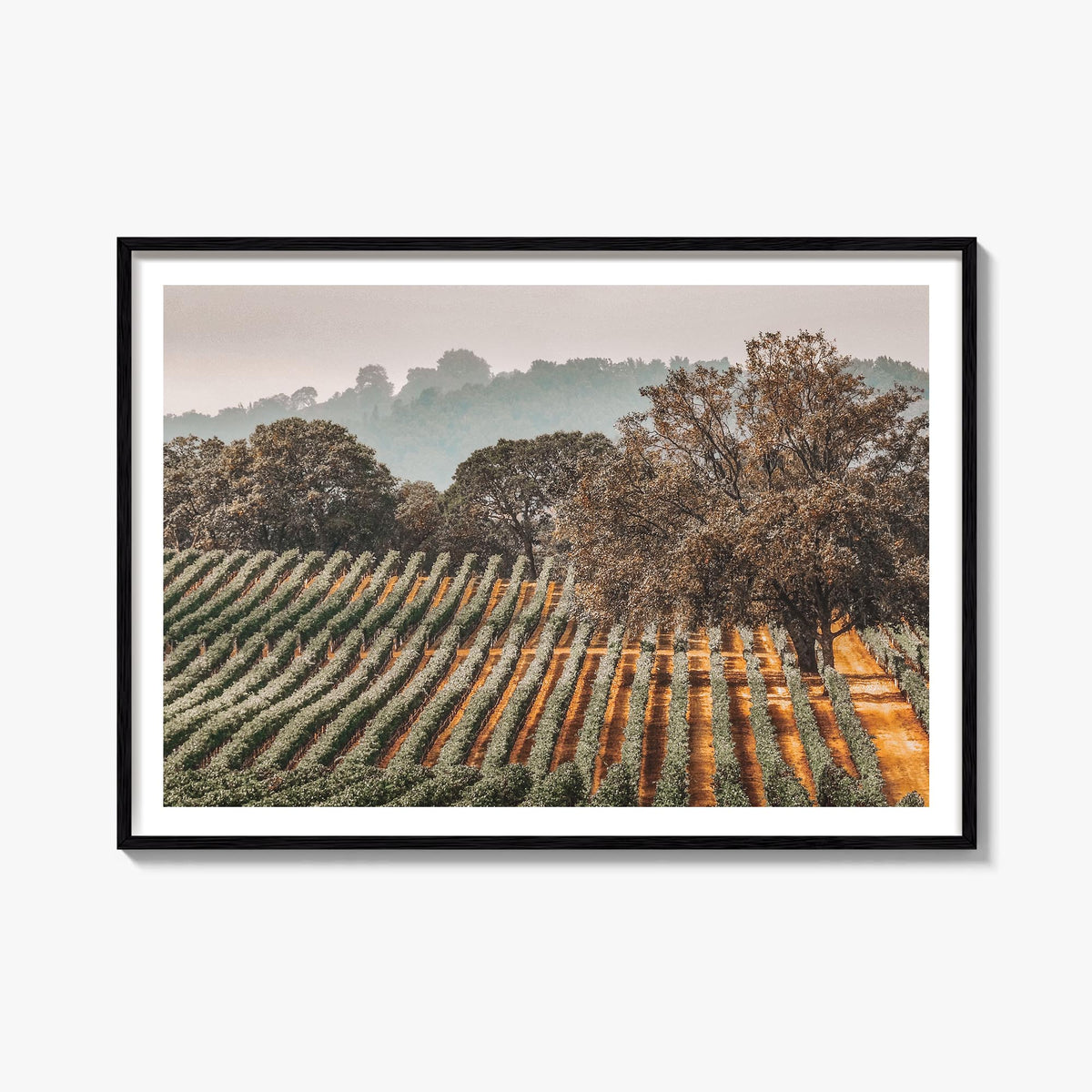 Sonoma colorful photo poster of California, USA – horizontal wall art, unframed print shown in interior mockup