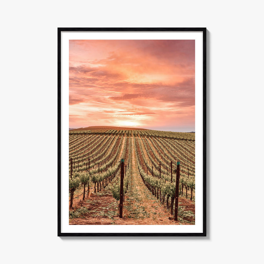 Sonoma colorful photo poster of California, USA – vertical wall art, unframed print shown in interior mockup