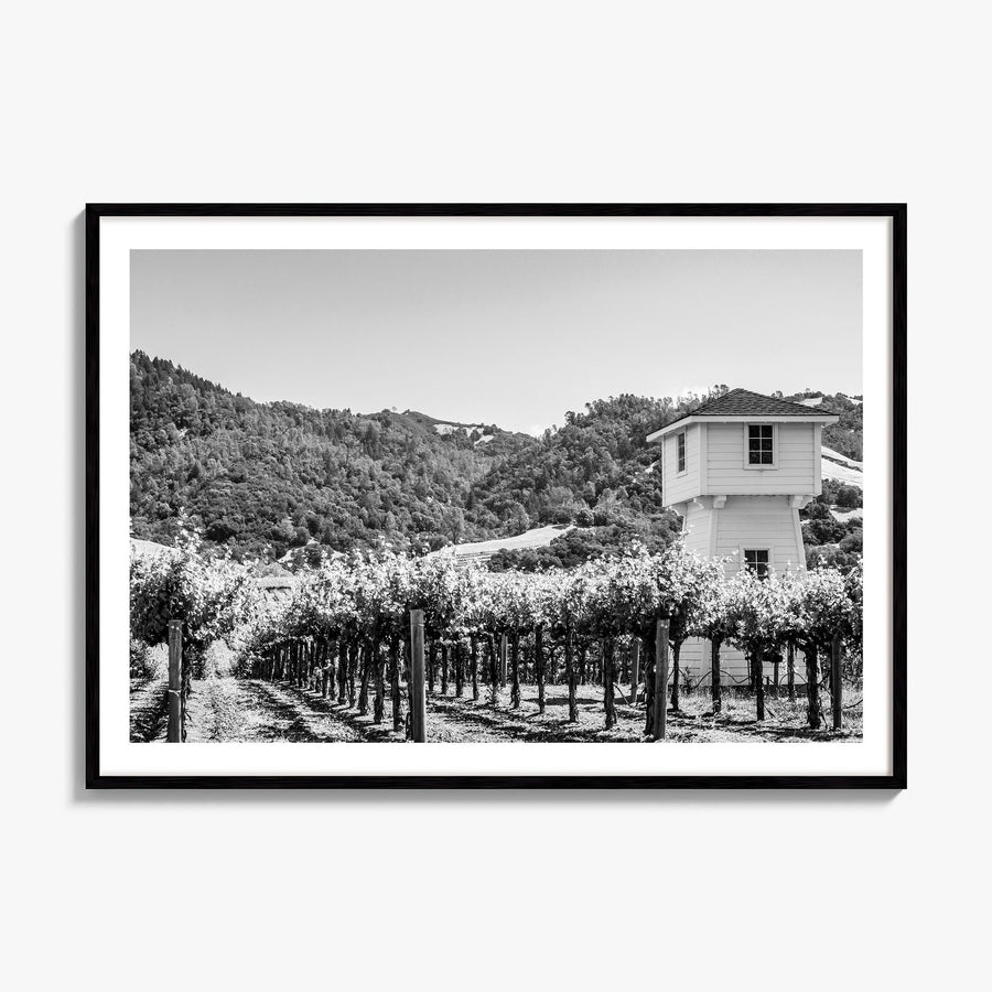 Sonoma Photo Poster, framed poster mockup, white border