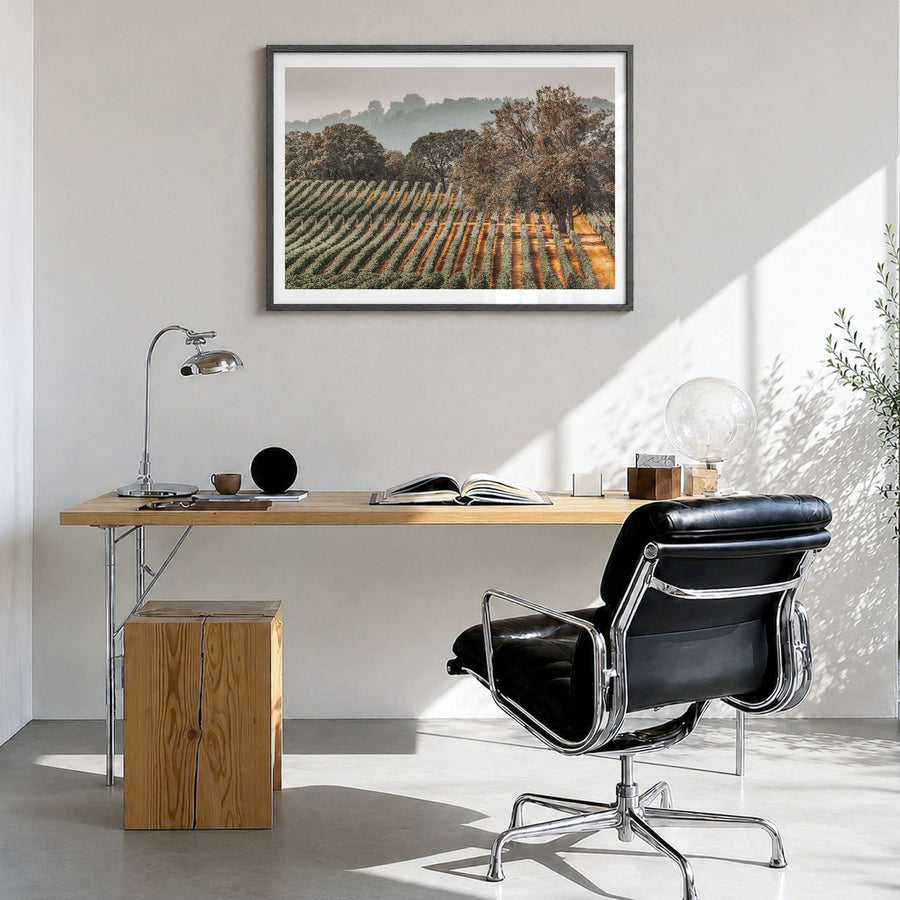 Sonoma Photo Poster in a black wood frame, hanging in a bright home office, white border