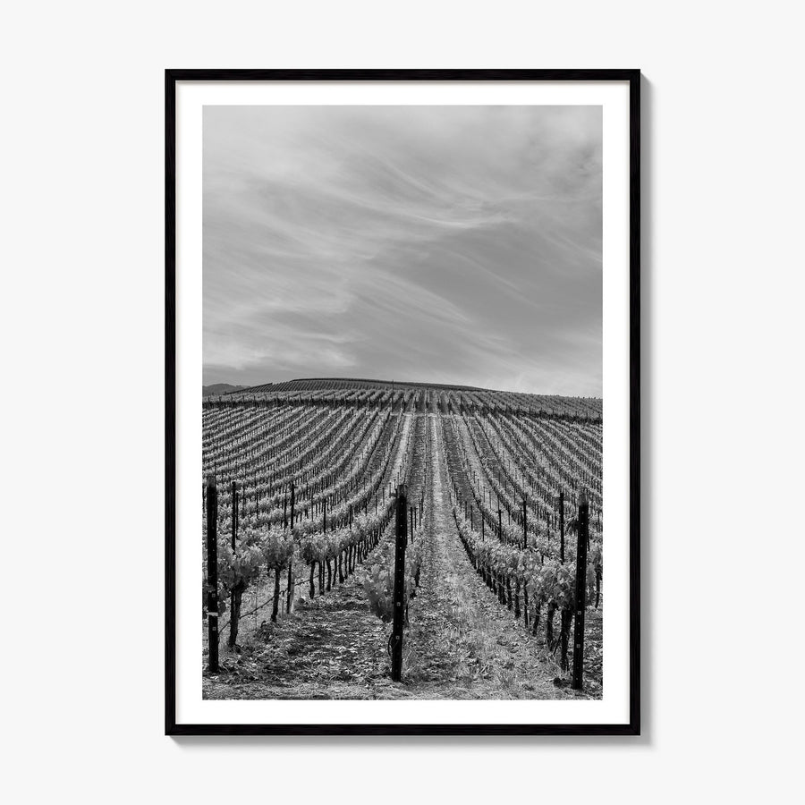 Sonoma Photo Poster, framed poster mockup, white border