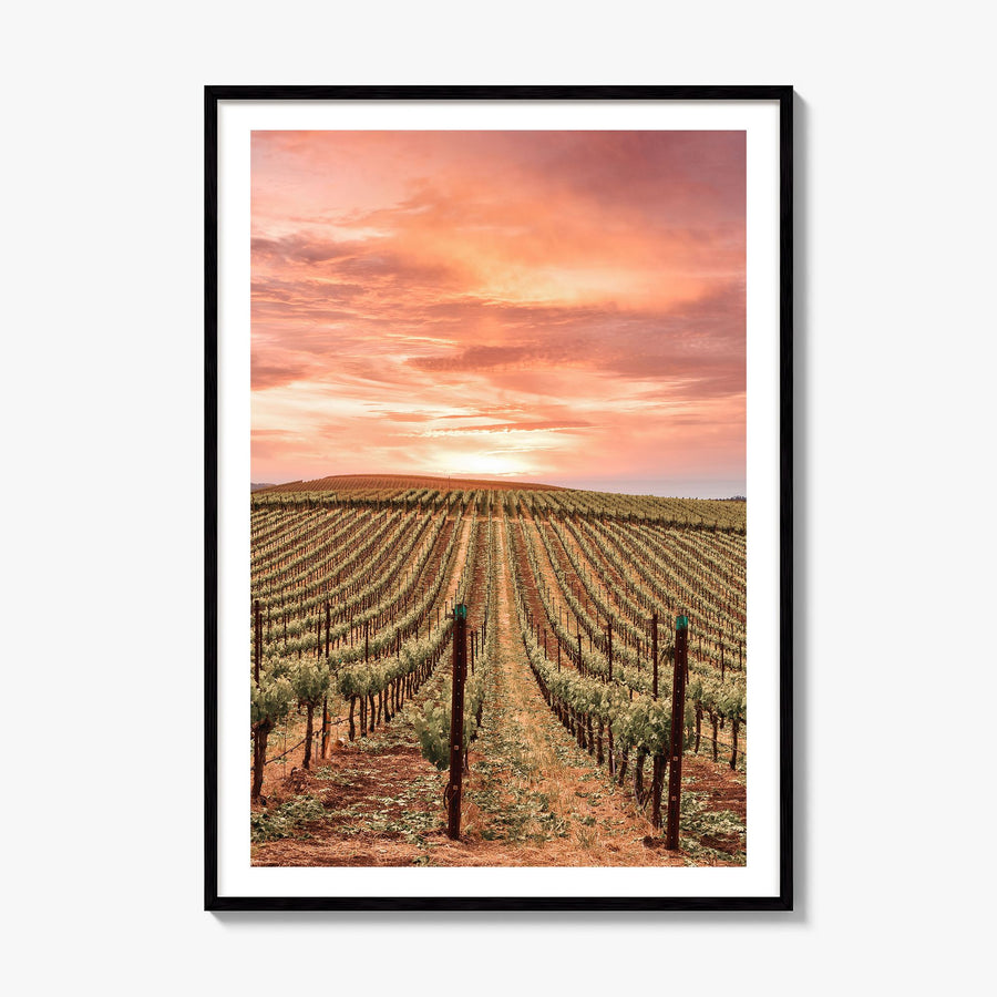 Sonoma Photo Poster, framed poster mockup, white border