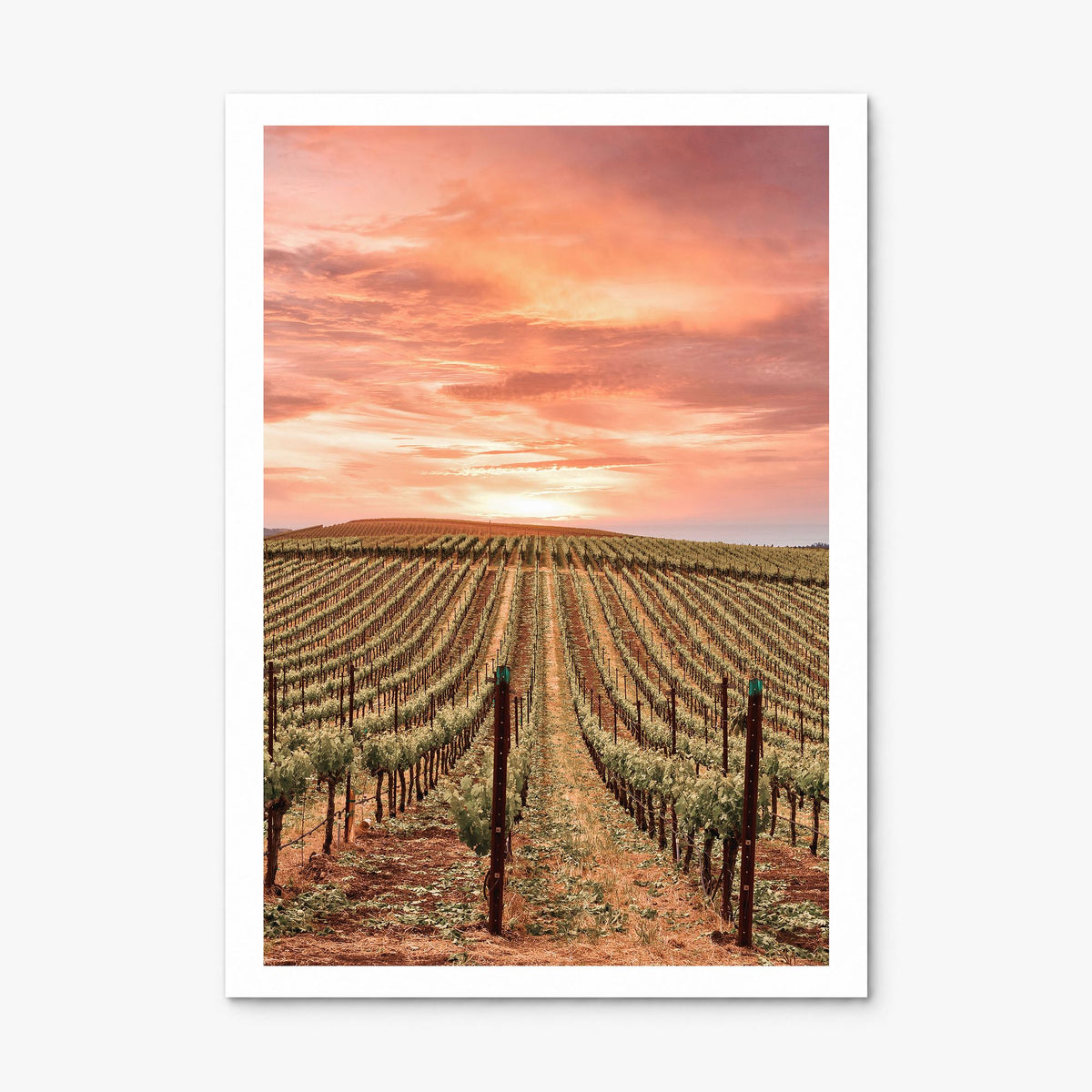 Sonoma Photo Poster, print only (unframed), white border