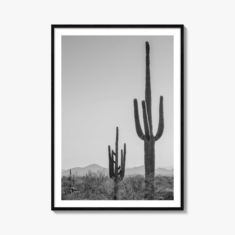 Sonora black & white photo poster of Mexico – vertical wall art, unframed print shown in interior mockup