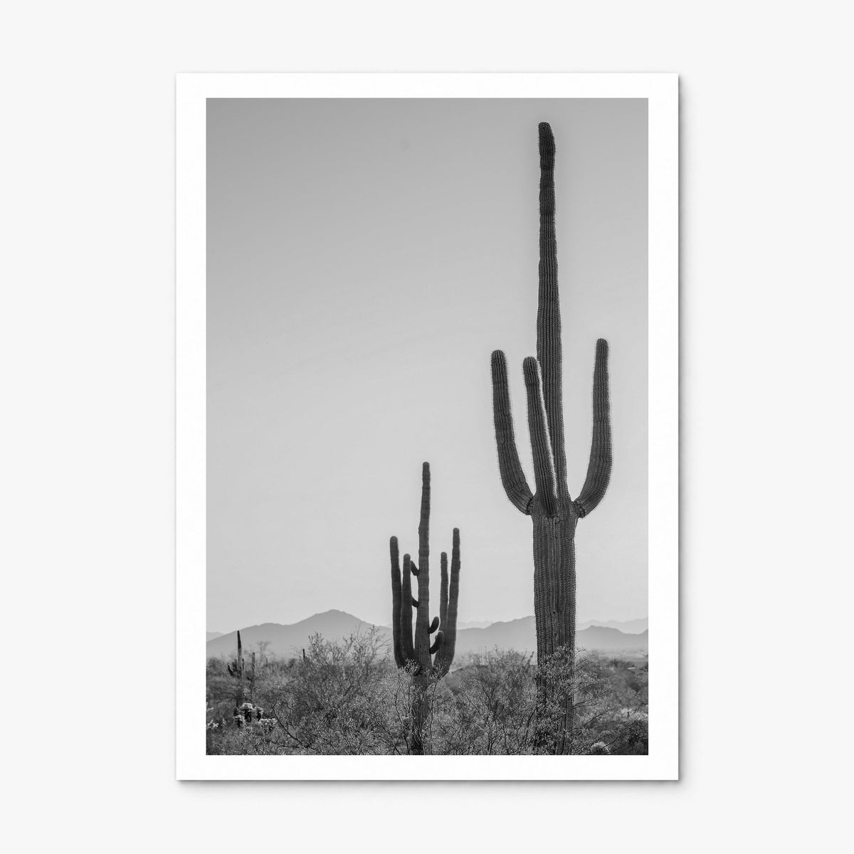 Sonora Photo Poster, print only (unframed), white border