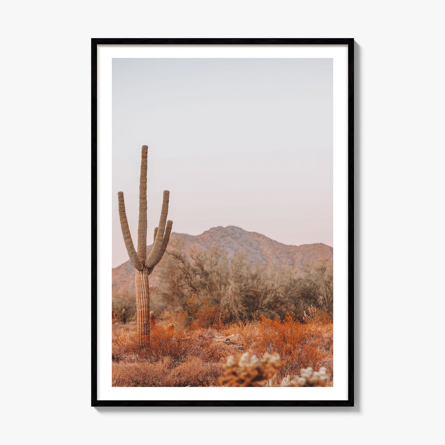 Sonora Photo Poster, framed poster mockup, white border