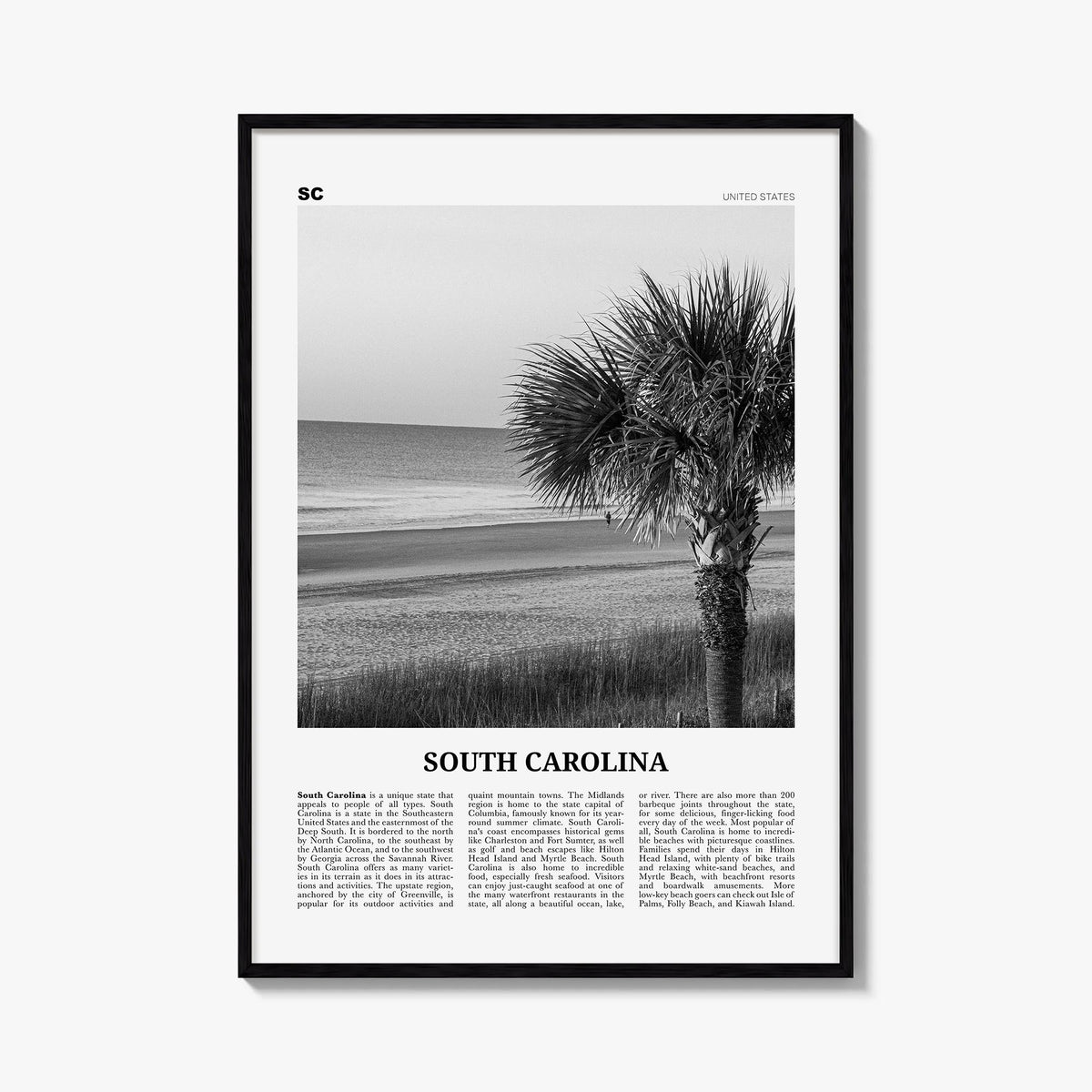South Carolina no. 1 black & white newspaper poster of United States – vertical wall art, unframed print shown in interior mo