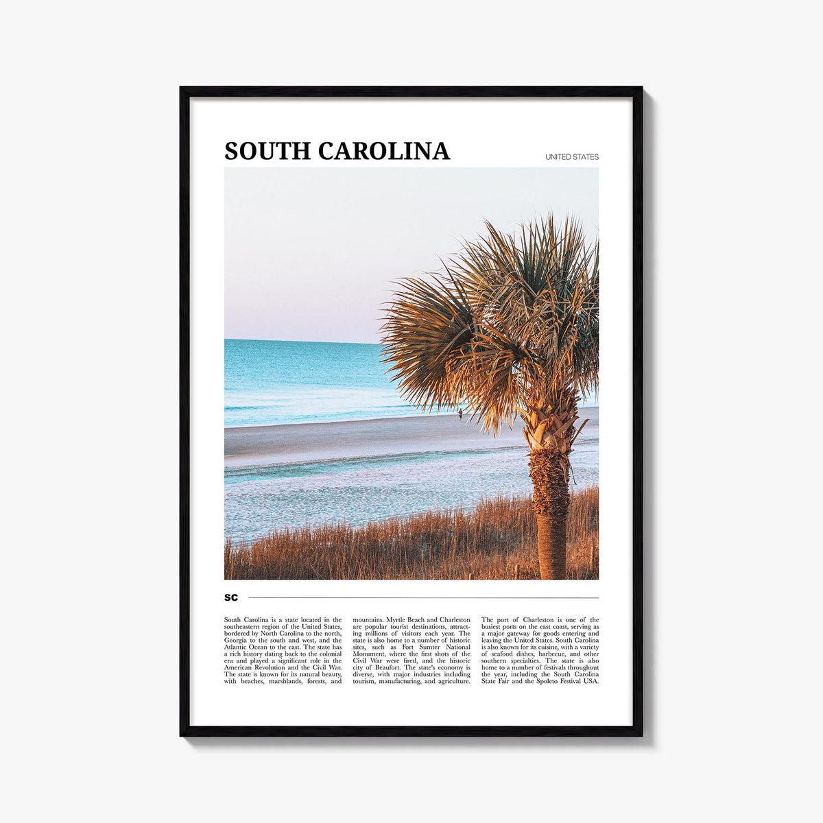 South Carolina Travel No 2 Poster