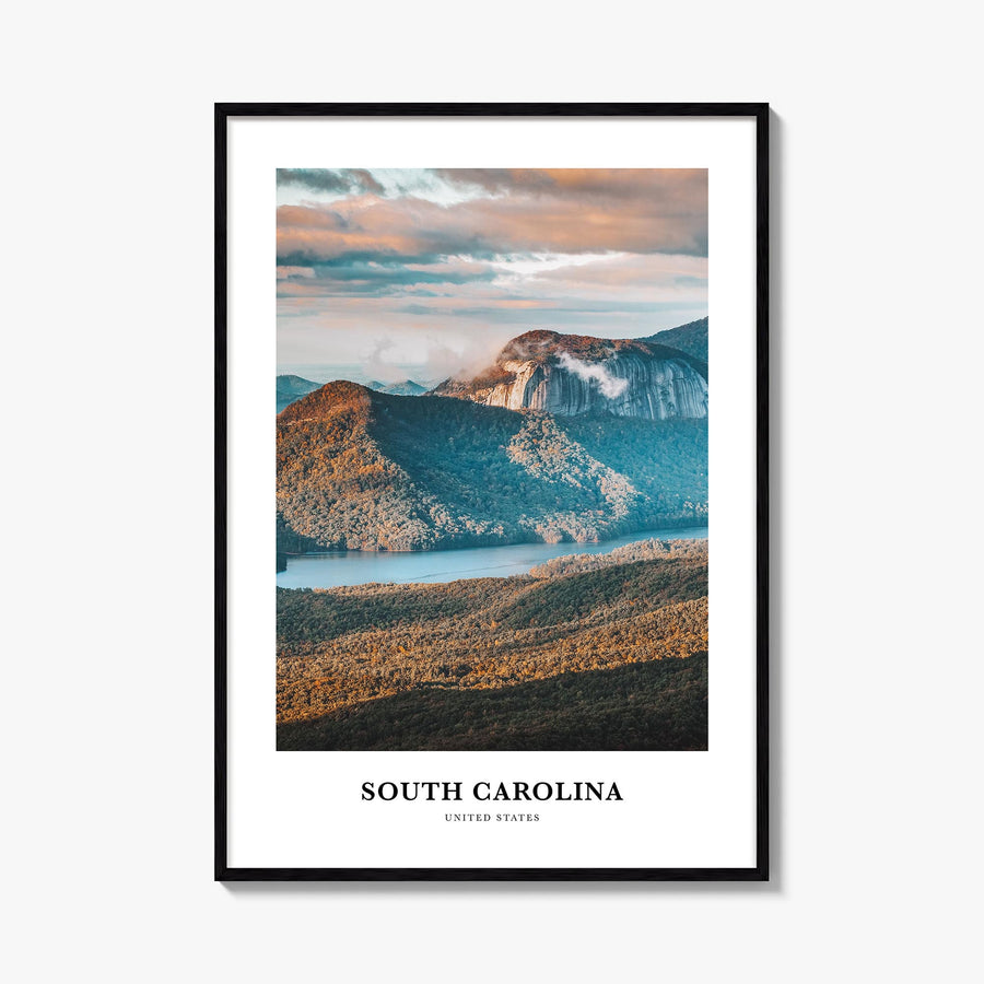 South Carolina no. 3 colorful classic poster of United States – vertical wall art, unframed print shown in interior mockup