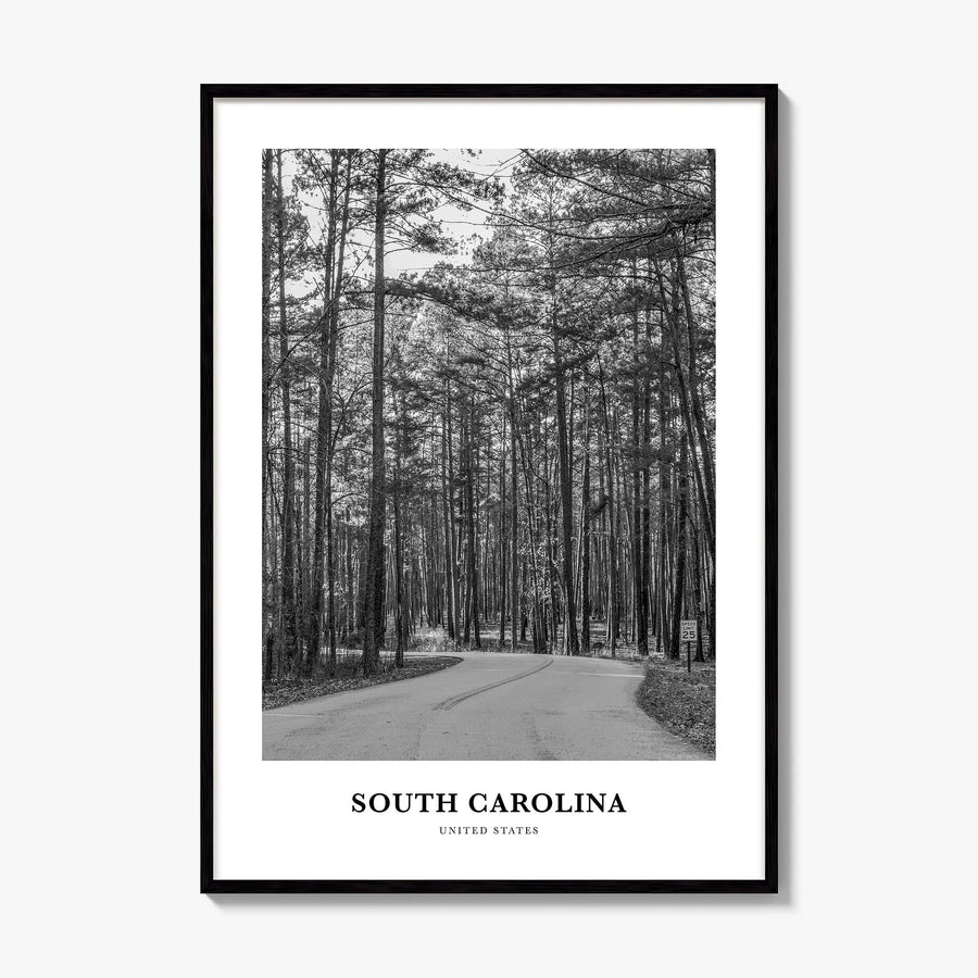 South Carolina Classic Poster, framed poster mockup