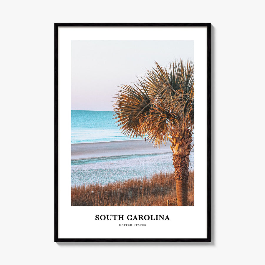 South Carolina Classic No 2 Poster, framed poster mockup