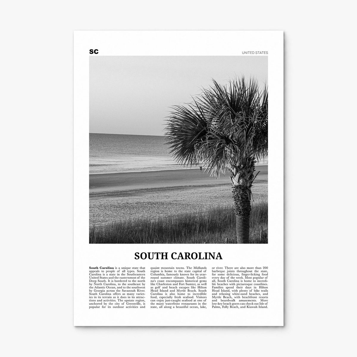 South Carolina Newspaper No 1 Poster, print only (unframed)