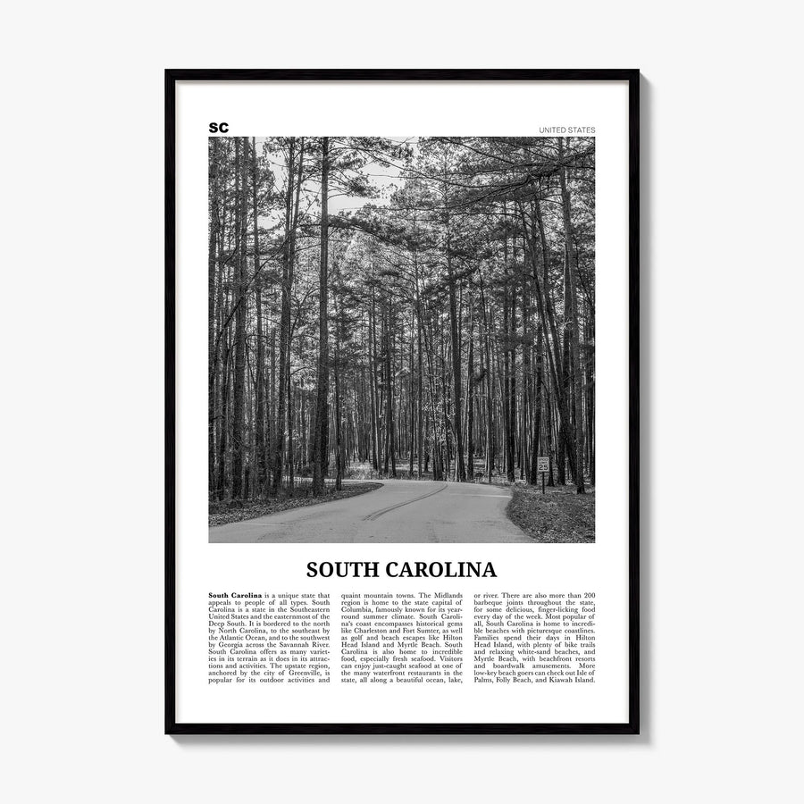 South Carolina Newspaper No 2 Poster, framed poster mockup