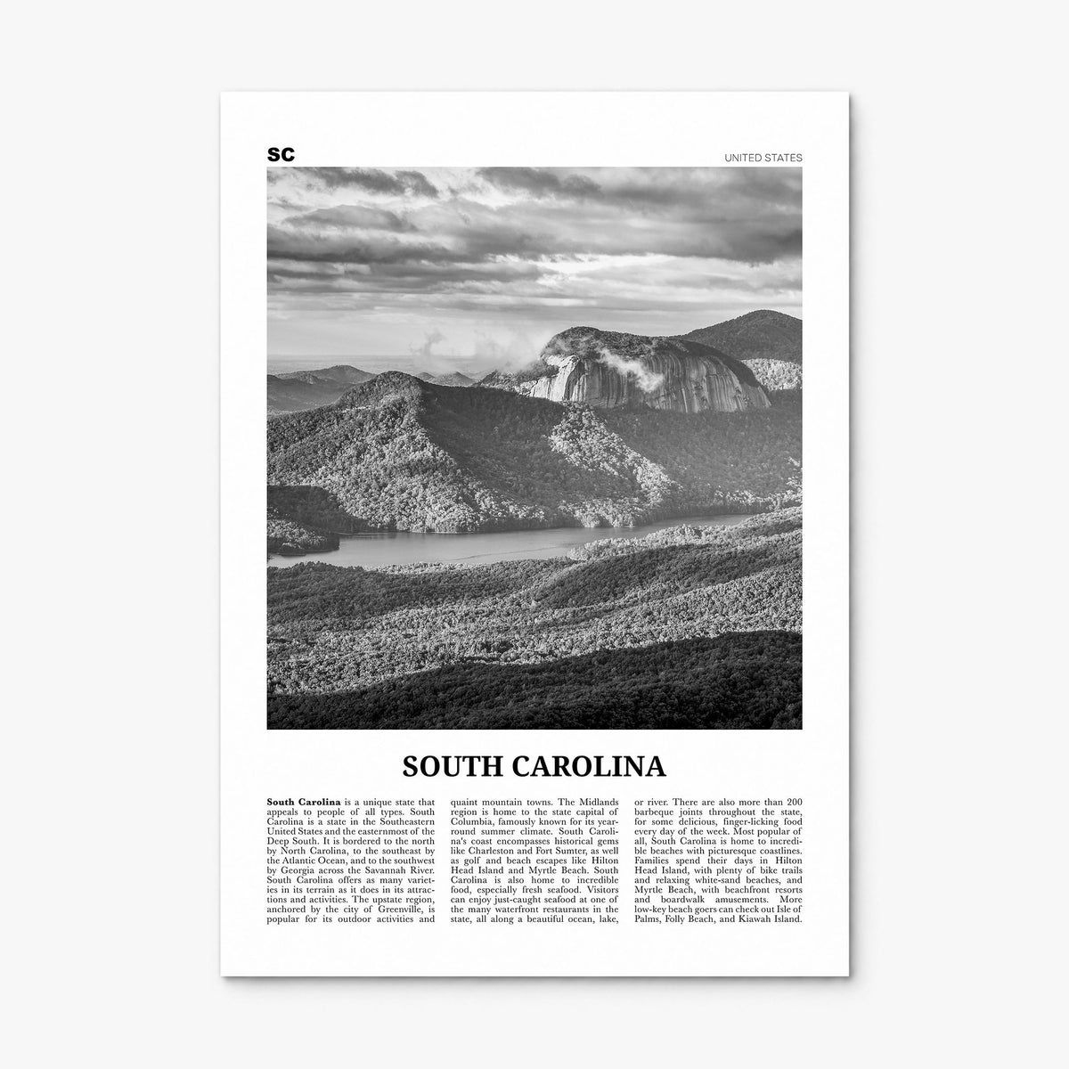 South Carolina Newspaper No 3 Poster, print only (unframed)