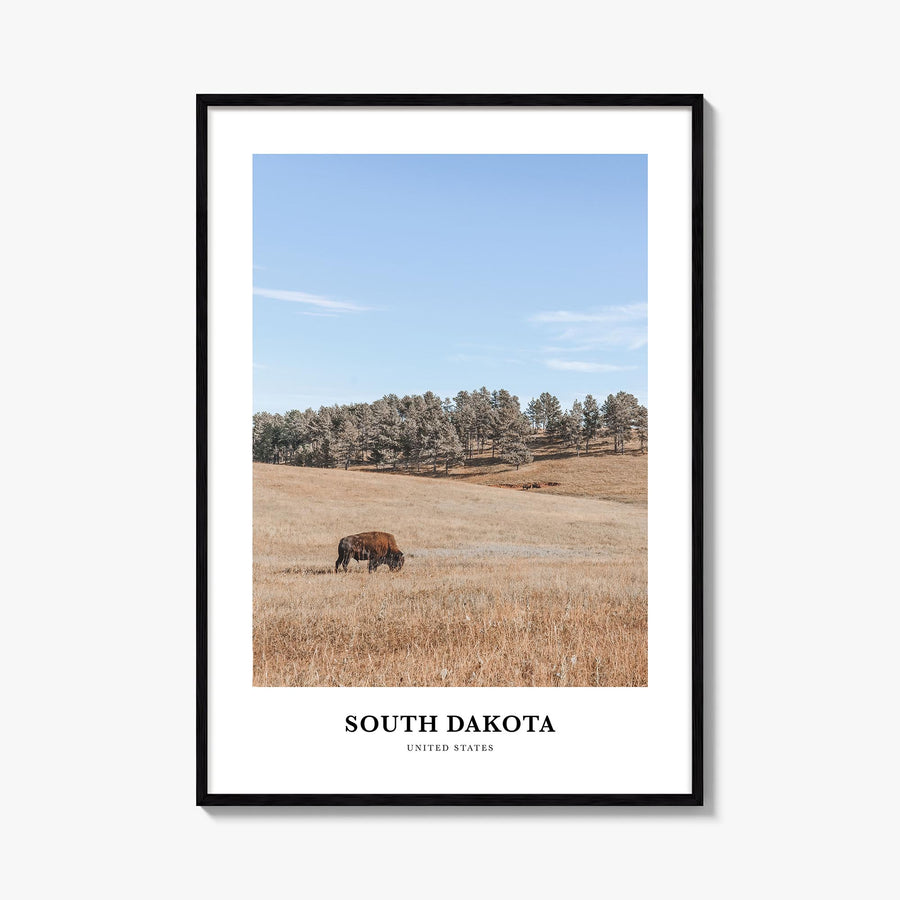 South Dakota colorful classic poster of United States – vertical wall art, unframed print shown in interior mockup