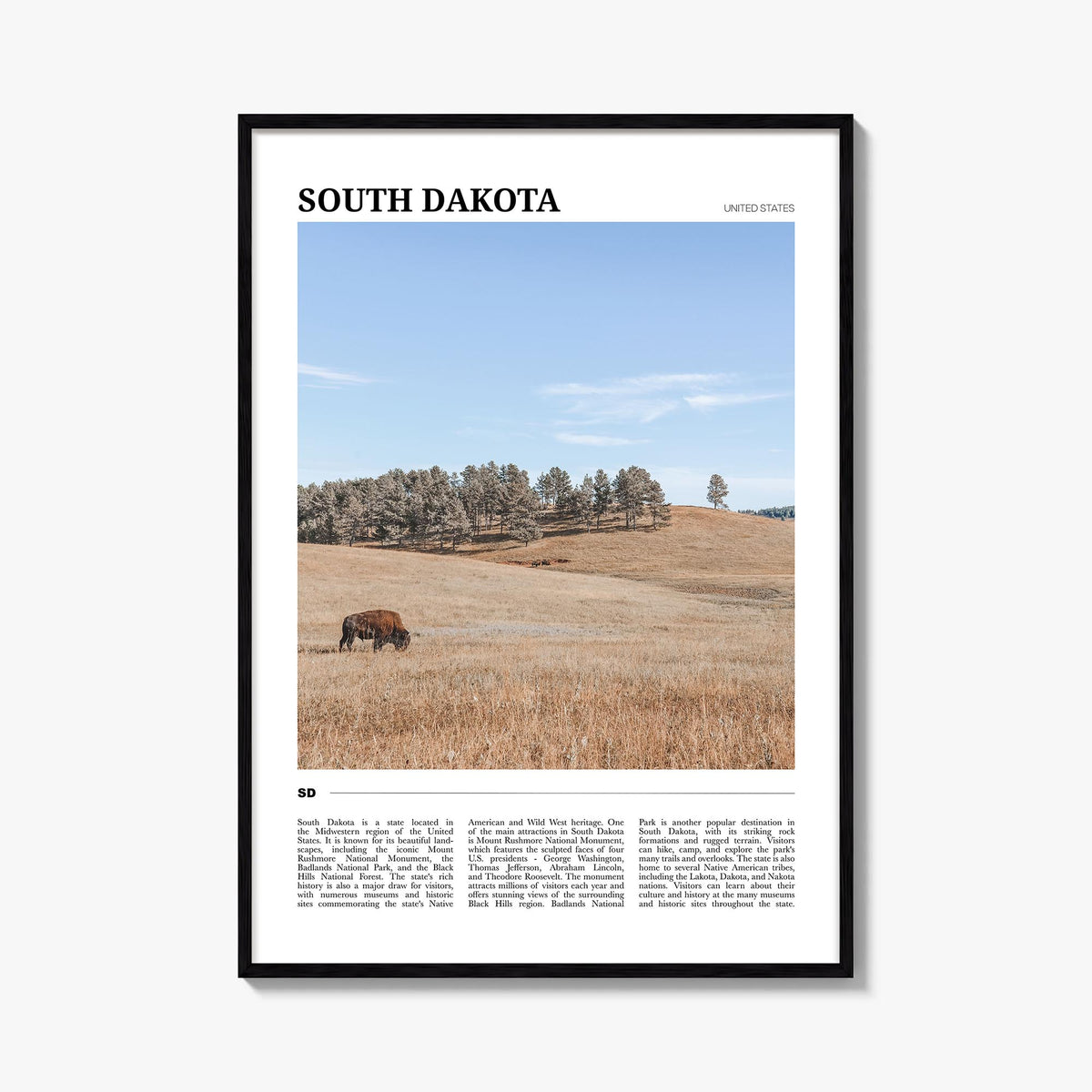 South Dakota Travel Poster
