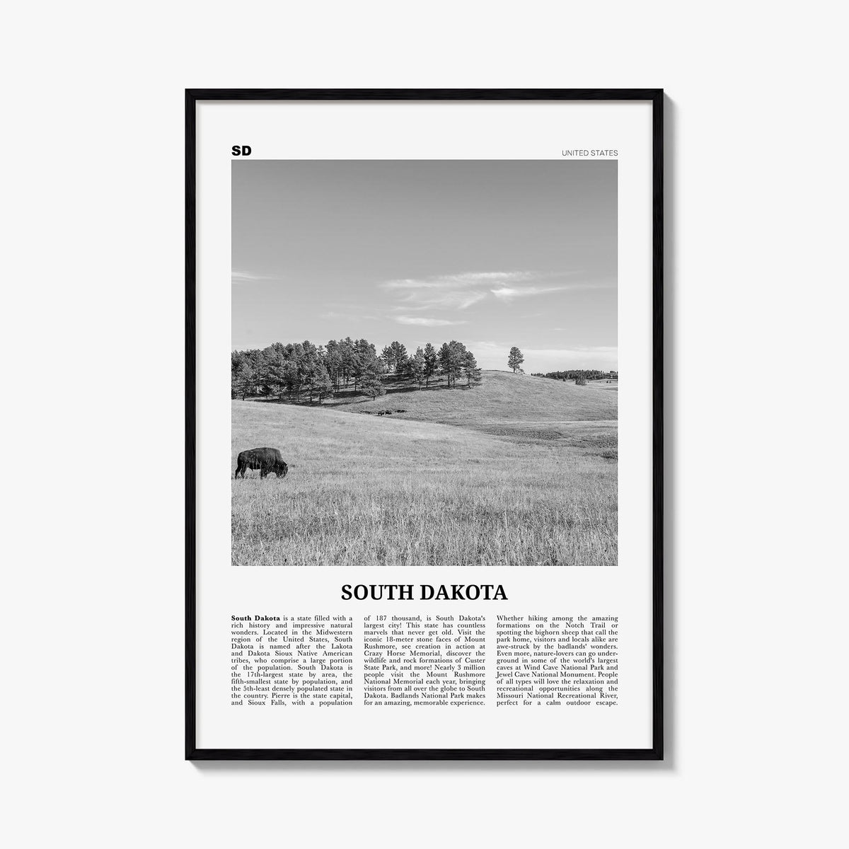 South Dakota no. 1 black & white newspaper poster of United States – vertical wall art, unframed print shown in interior mock