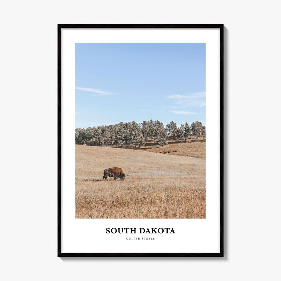 South Dakota Classic Poster, framed poster mockup