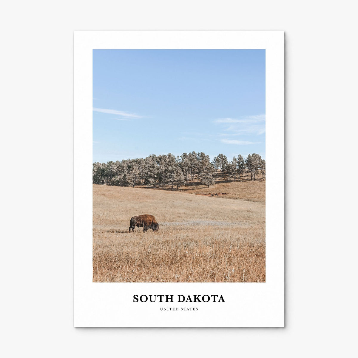 South Dakota Classic Poster, print only (unframed)