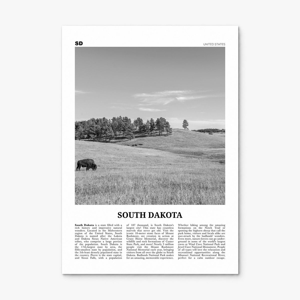 South Dakota Newspaper No 1 Poster, print only (unframed)