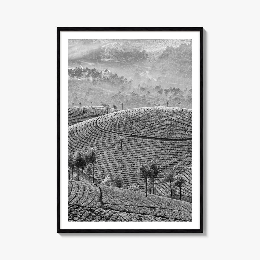 Sri Lanka black & white photo poster of Asia – vertical wall art, unframed print shown in interior mockup