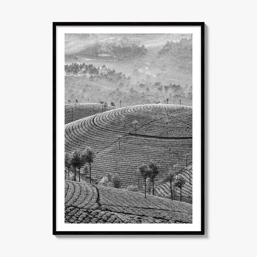 Sri Lanka Photo Poster, framed poster mockup, white border