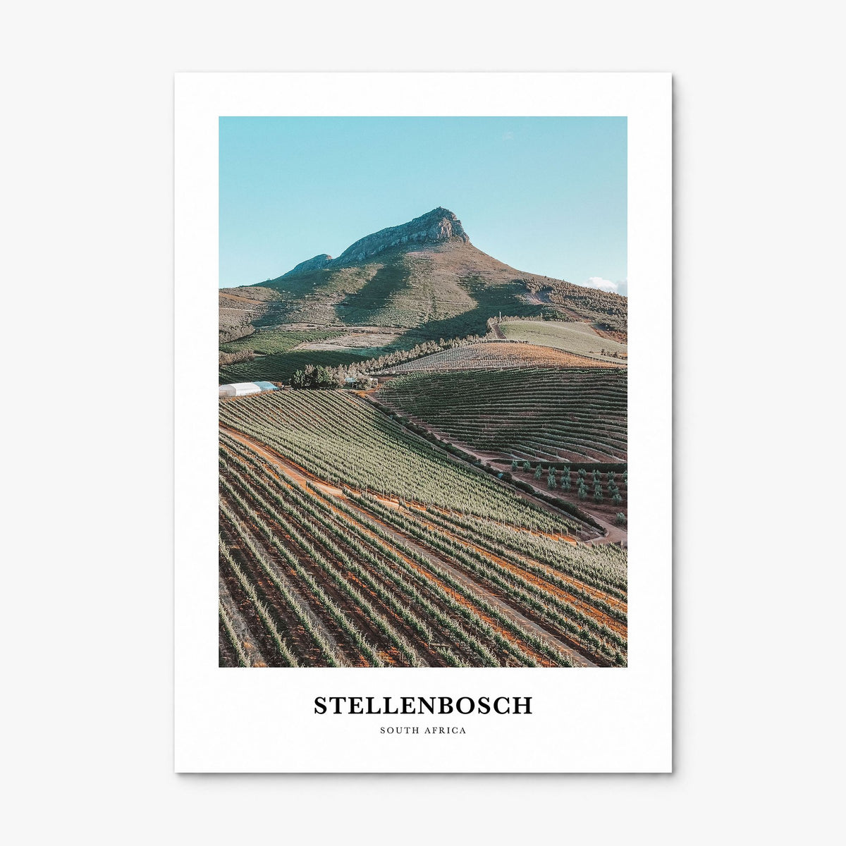 Stellenbosch Classic Poster, print only (unframed)