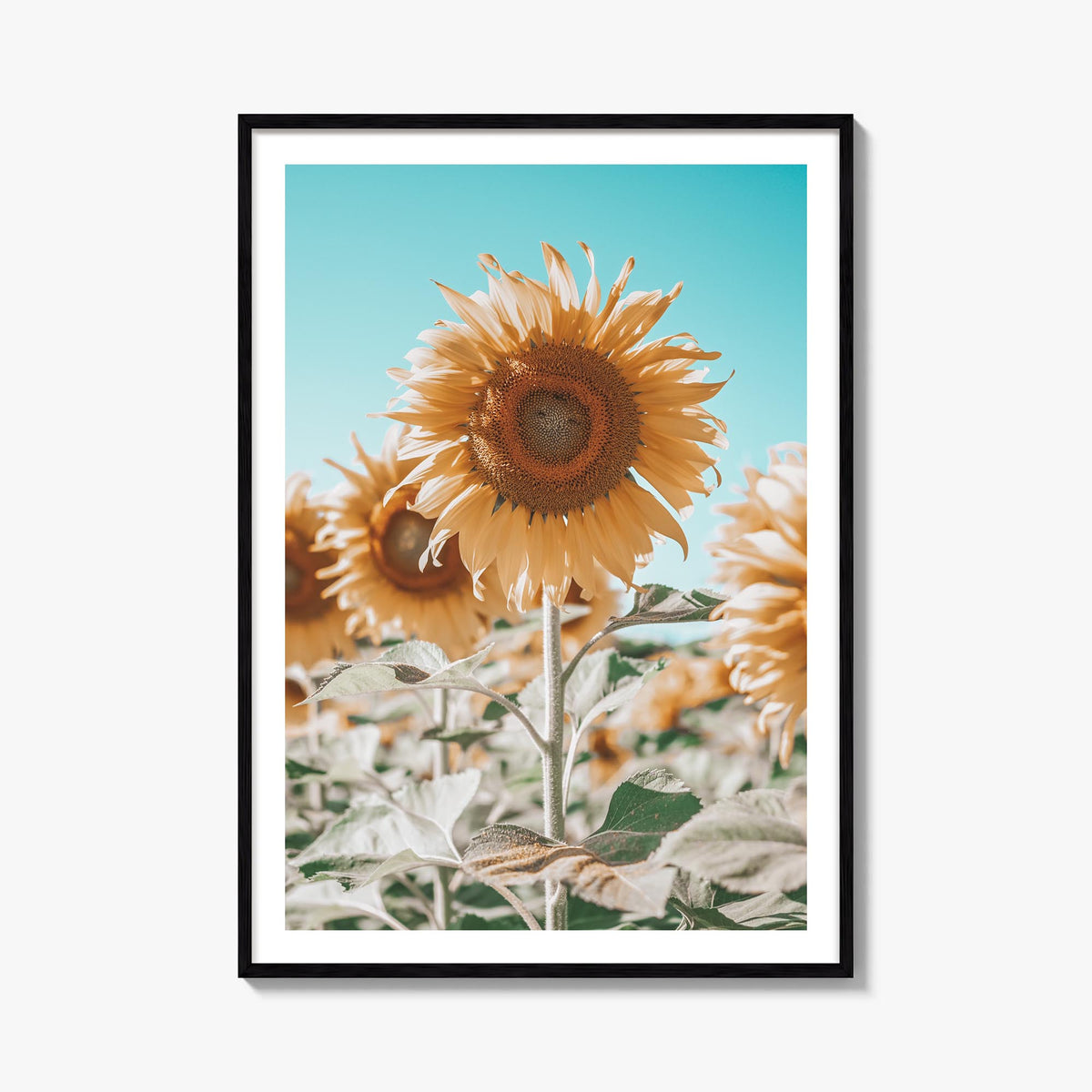 Sunflower Blue Sky colorful photo poster – vertical wall art, unframed print shown in interior mockup
