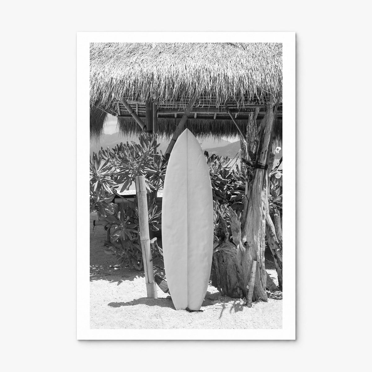 Surfboard Photo No 1 Poster, print only (unframed), white border