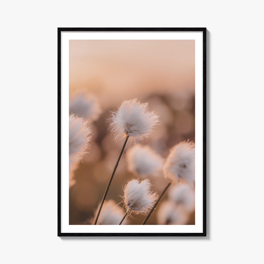 Swamp Flowers colorful photo poster – vertical wall art, unframed print shown in interior mockup
