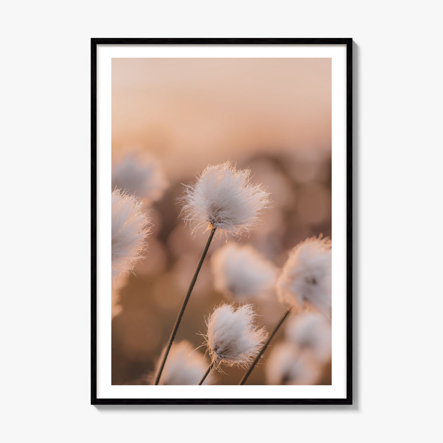 Swamp Flowers Photo Poster, framed poster mockup, white border