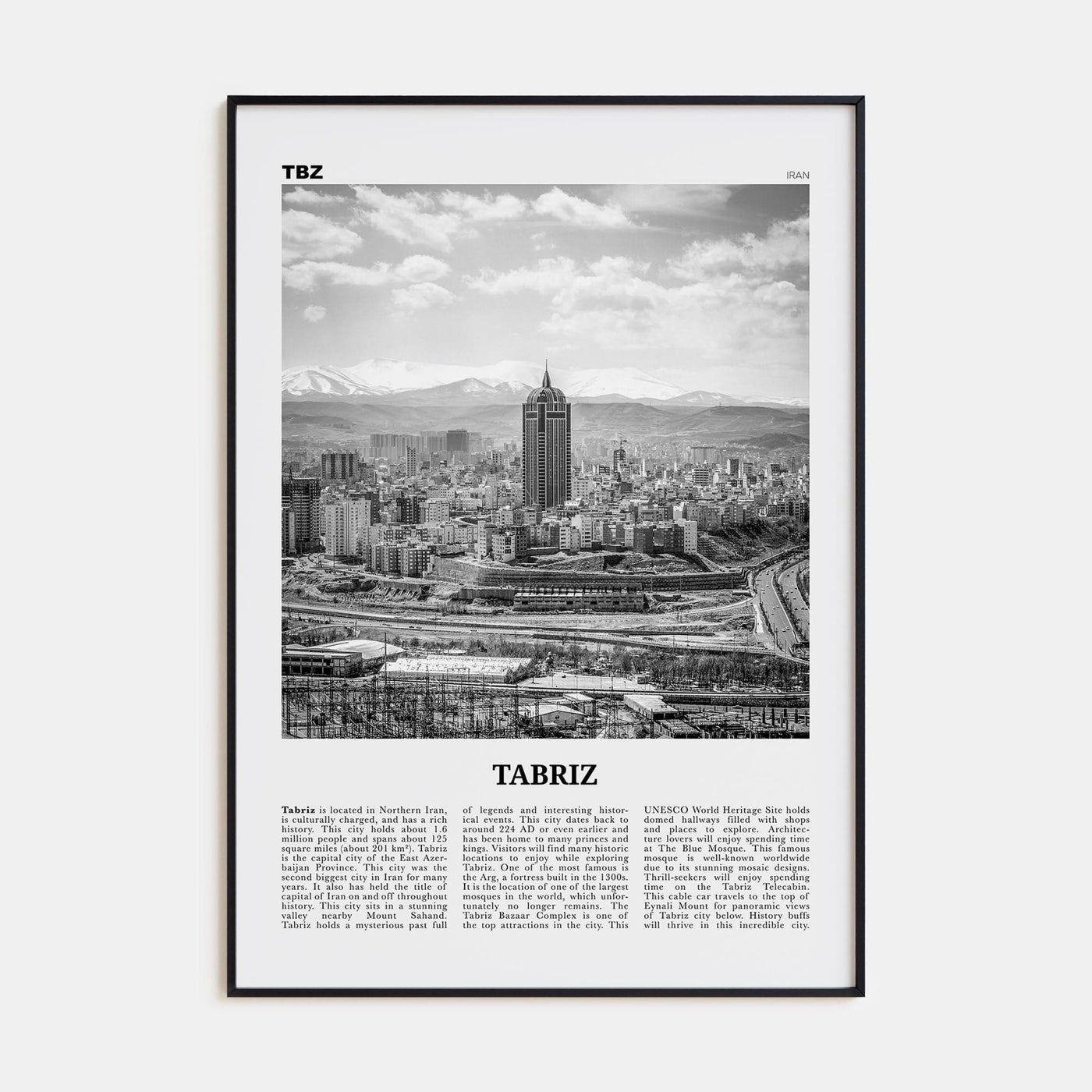 Tabriz Poster Black Metal / 8x12 in Nbourhood Travel B&W Poster