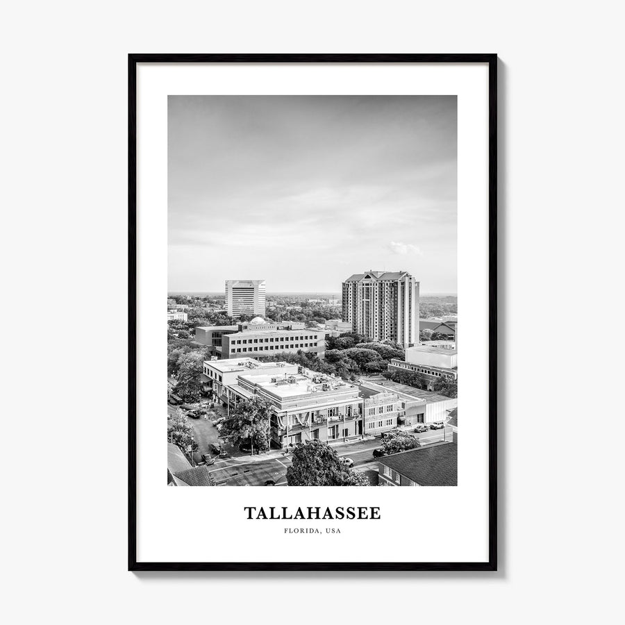 Tallahassee Classic Poster, framed poster mockup