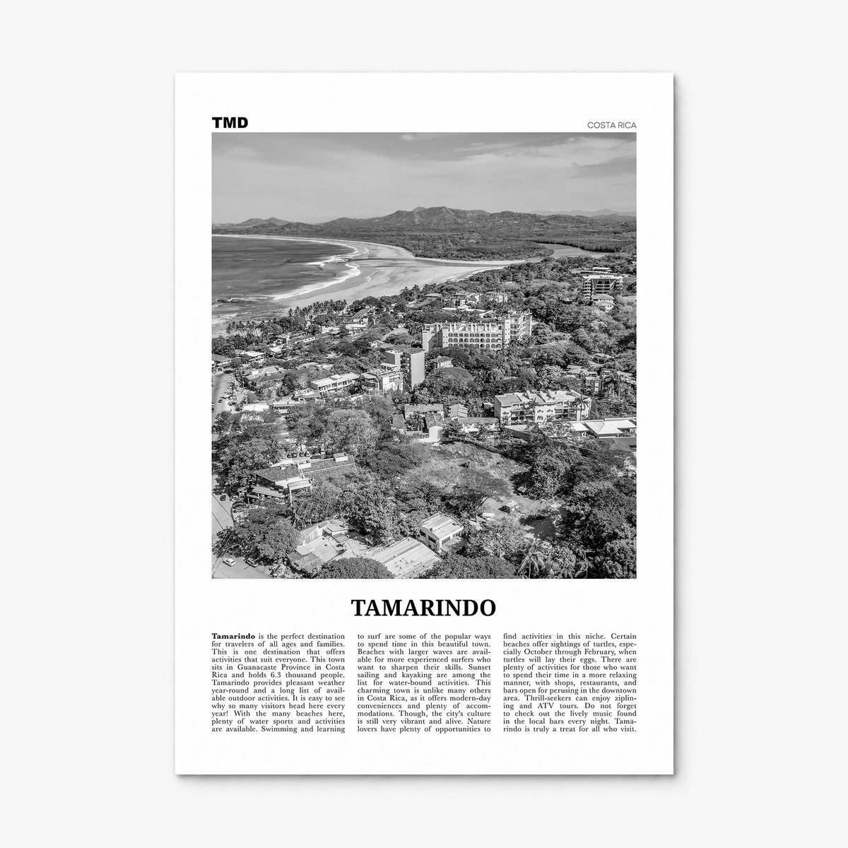 Tamarindo Newspaper Poster, print only (unframed)