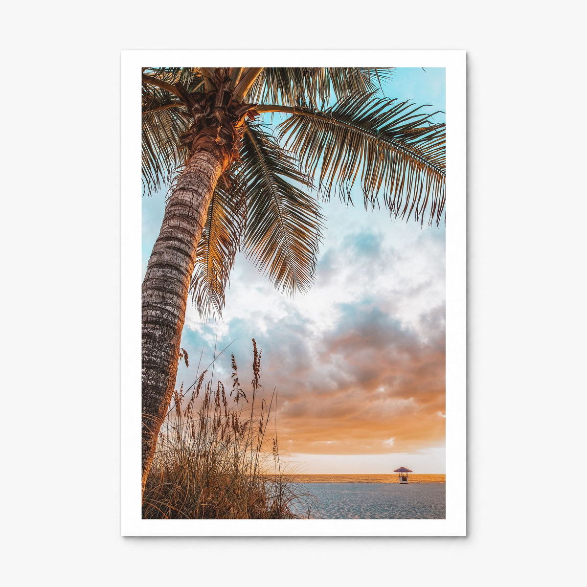 Tampa Bay Photo Poster, print only (unframed), white border