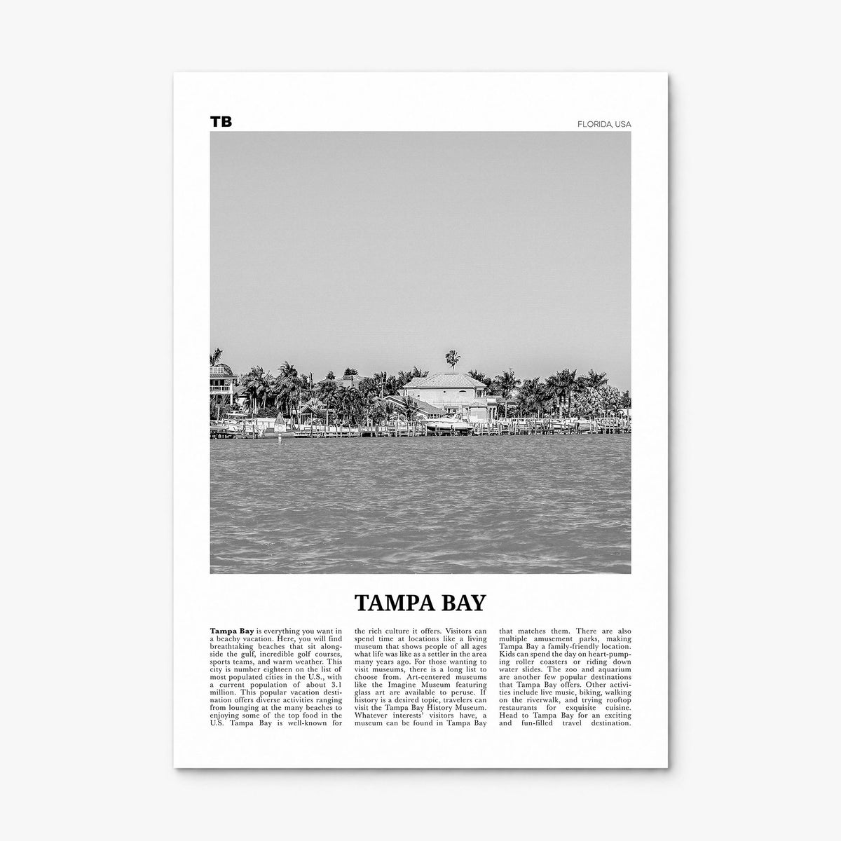Tampa Bay Newspaper Poster, print only (unframed)