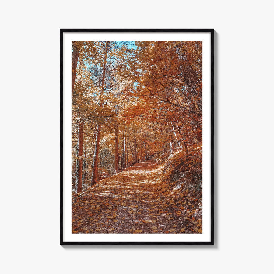 Tampa no. 3 colorful photo poster of Florida, USA – vertical wall art, unframed print shown in interior mockup
