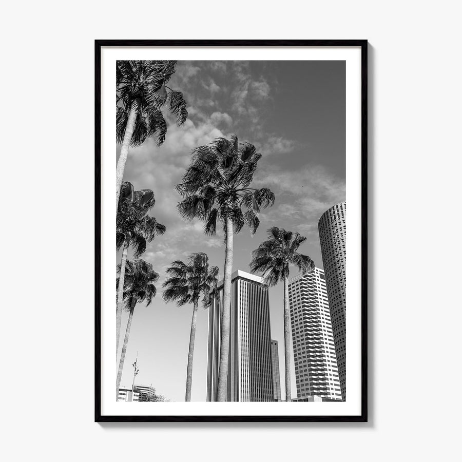 Tampa Photo No 3 Poster, framed poster mockup, white border
