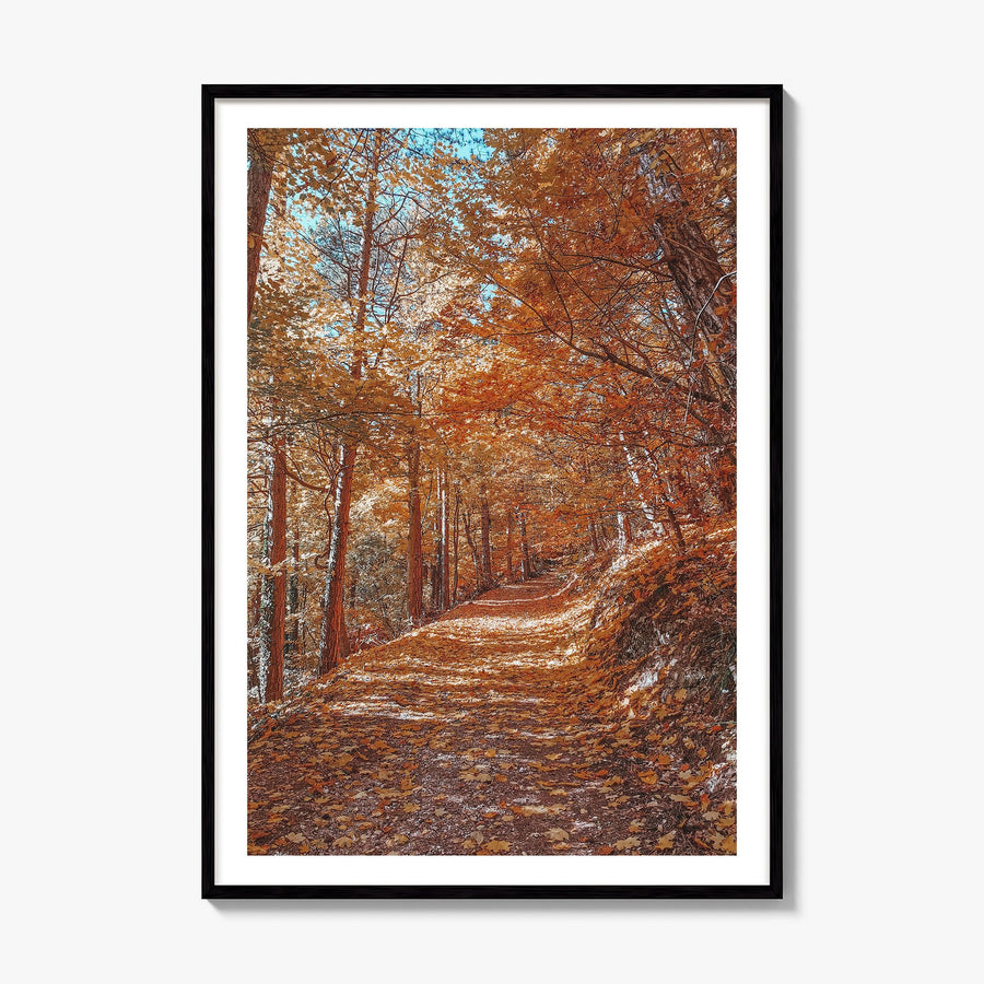 Tampa Photo No 3 Poster, framed poster mockup, white border