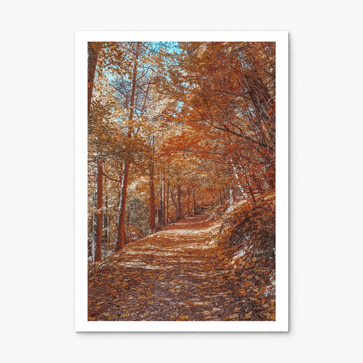 Tampa Photo No 3 Poster, print only (unframed), white border