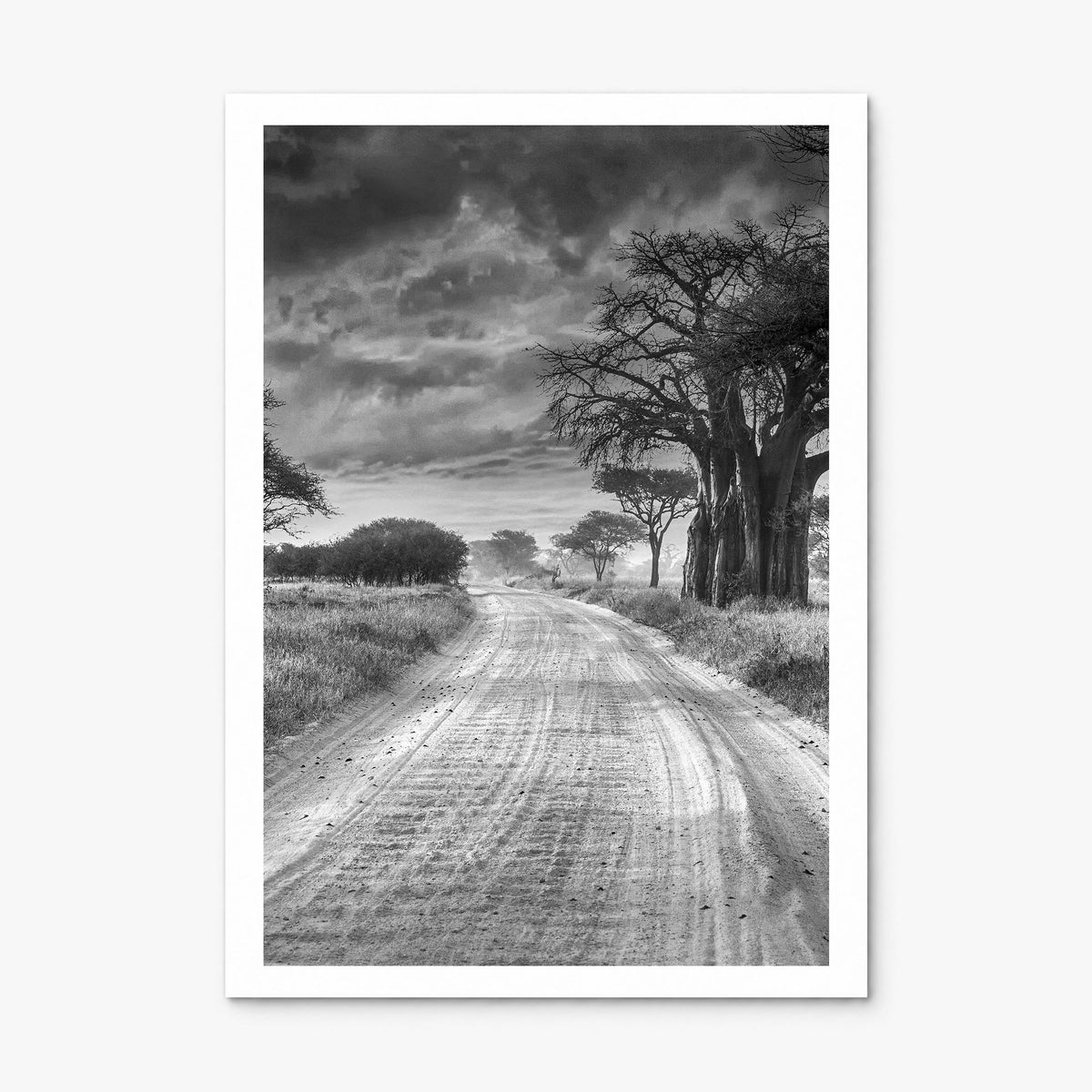 Tanzania Photo Poster, print only (unframed), white border