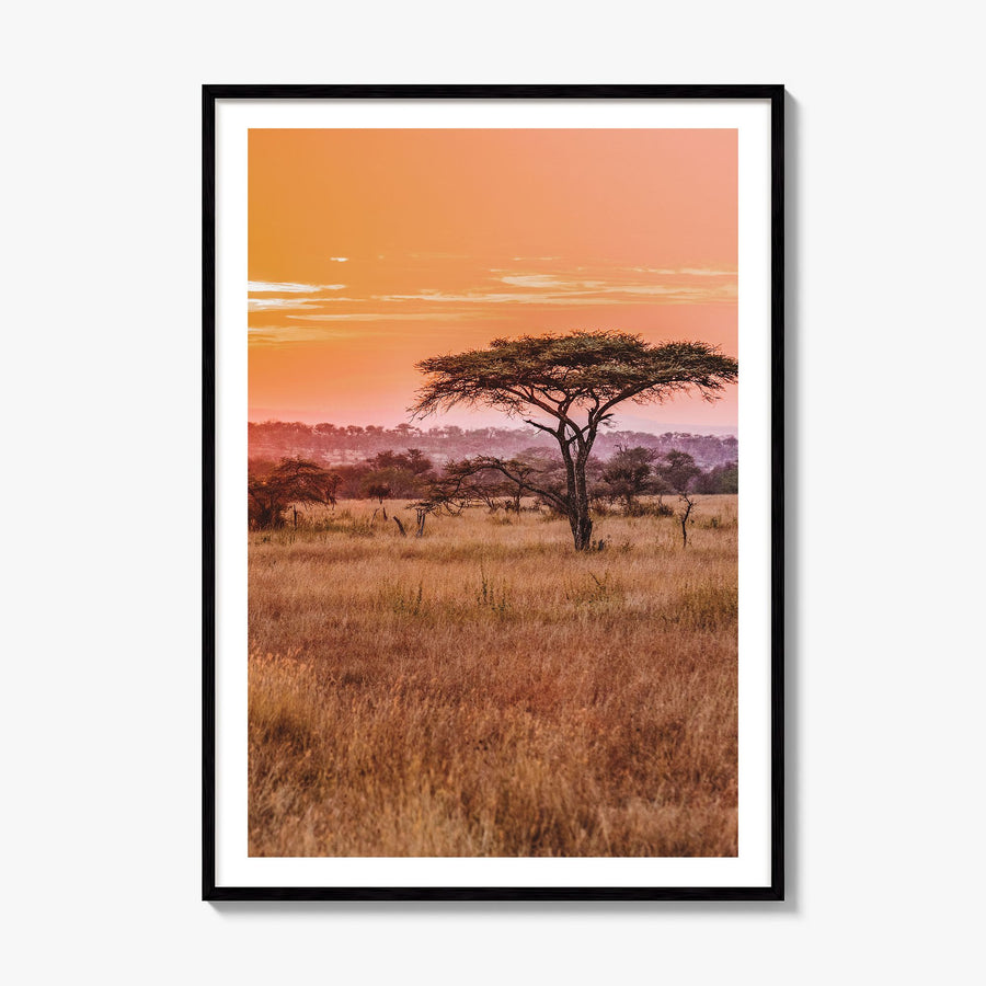 Tanzania Photo Poster, framed poster mockup, white border
