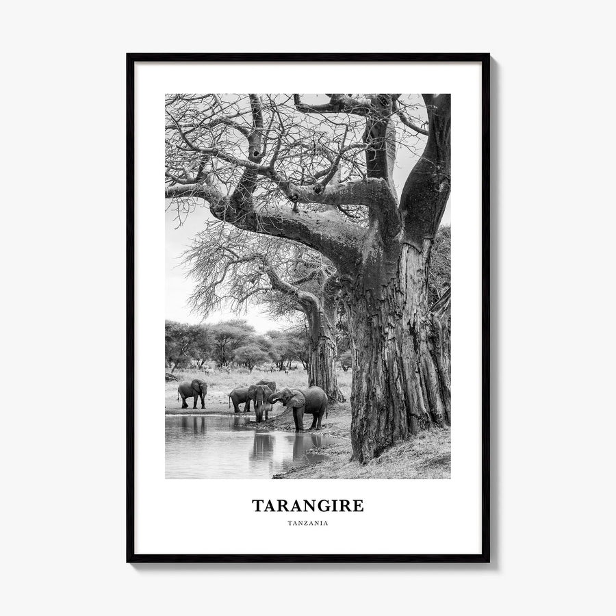 Tarangire National Park Classic Poster, framed poster mockup