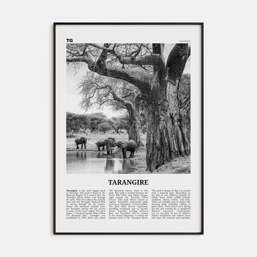 Tarangire National Park Poster Black Metal / 8x12 in Nbourhood Travel B&W Poster